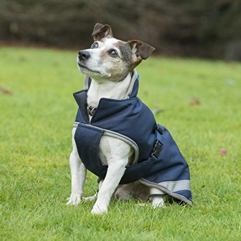 Bucas Freedom Hundedecke 35, navy