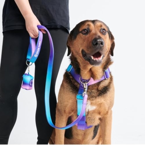 Spark Paws Großes Hundegeschirr ohne Zug, Halterdesign mit Frontclip, Robust und Strapazierfähig für Große und Starke Rassen - 90s Retro, L