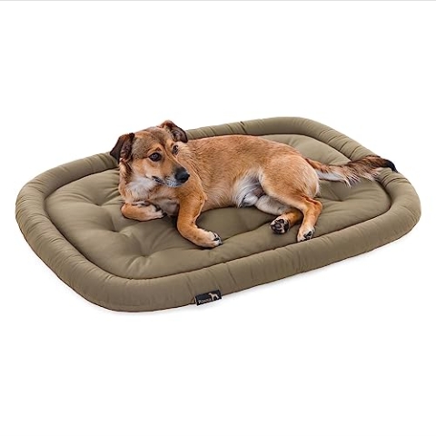 Pointer | Orthopädisches Hundekissen Kleine Hunde, 70x50 cm - Hundebett Waschbar bis 95°C, Geruchsfrei, Robust, Indoor & Outdoor, Made in Germany (M - 70x50 cm, Goldbraun)