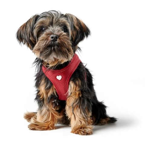 HUNTER Hundegeschirr Love, Farbe: rot, weiches Rindsleder, atmungsaktive Mesh-Polsterung, Herz handgenäht, hoher Komfort, Made in Germany, Größe: S