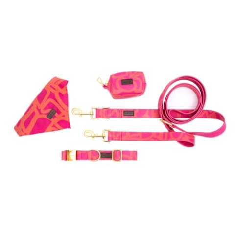 bo&flash Hundeleinen Set Charleston für mittelgroße Hunde – Bequemes Hundehalsband mit 2,5 m Leine – 4 tlgs. Set aus veganem Leder mit verstellbarem Halsband und charmantem Halstuch – Chouk – M
