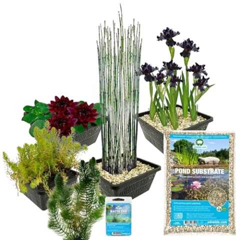 vdvelde.com - Teich Komplett Paket Schwarz - S - 100-400 L - 15 pflanzen für 100-400 L - Schafft einen wartungsfreien Teich - Platzierung: -1 bis -100 cm