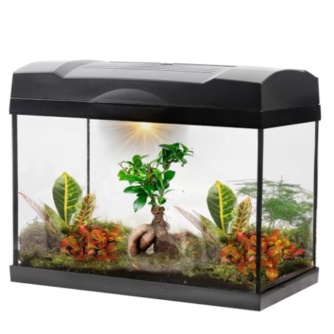 vdvelde.com - Tropisches Bonsai-Mega-Terrarium - - 1 Bonsai + 5 farbige Pflanzen- Abmessungen: 39x21x31 cm- Netzgebundene Beleuchtung