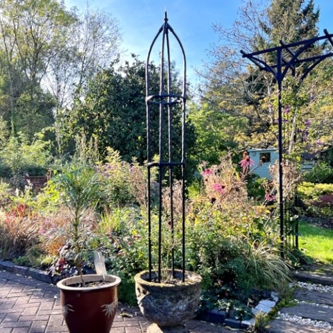 GardenSkill Obelisk Rankgitter für Kletterpflanzen 40x220 cm hoch | Rosenbogen Garten-Spalier Rankhilfe für Topfpflanzen, Tomaten, Blumen, Reben | Pflanzenstütze Rahmen für Drinnen Draußen - Rostfrei