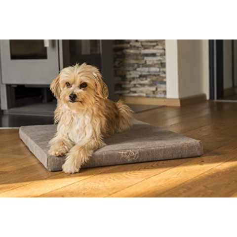 TrendPet VitaMedog 95°C - Orthopädische 5cm Hundematte Matratze mit kochbarem Bezug 110x80cm