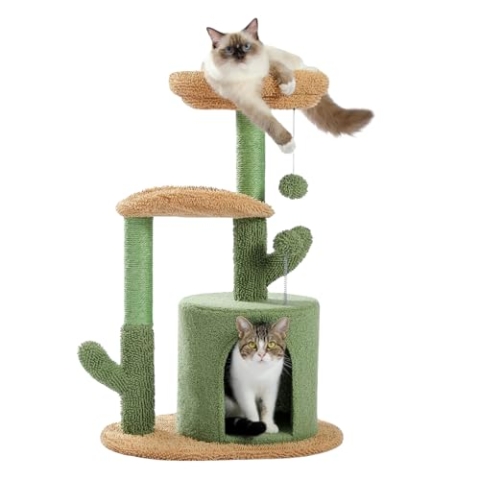 High Aspect® Kratzbaum Kaktus - 78CM - Kleine bis mittelgroße Katzen - Katzenkratzbaum für Katzen - Katzenturm - Katzenhaus - Sisalseil - Krabton - Katzenkratzbaum - Katzenkratzbaum - Katzenkratzbaum