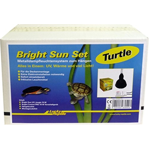 Lucky Reptile Bright Sun Set Turtle