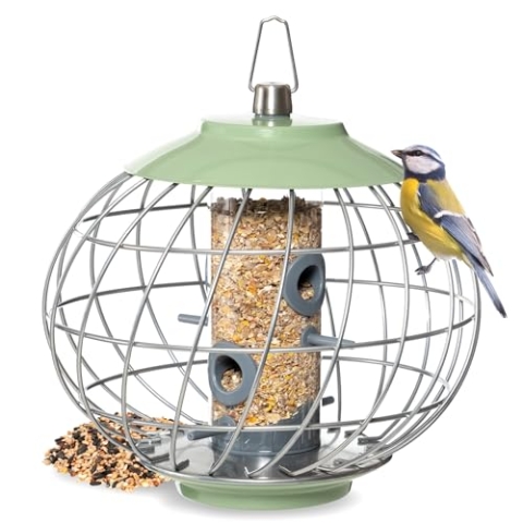 The Nuttery HELD04 Vogel-Futterspender für Eichhörnchen, 24,6 cm H x 27,7 cm B x 27,7 cm D, Celedon