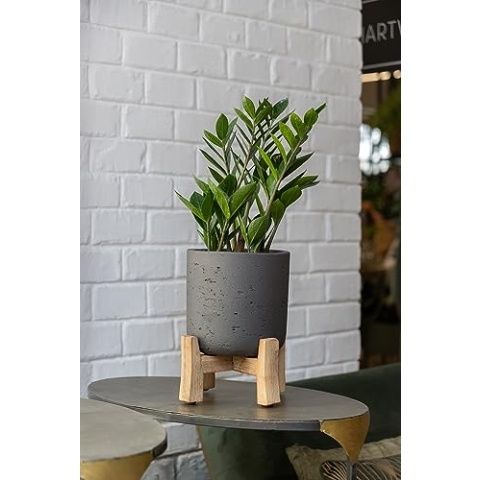 Finestgreen Charlie Feet Low | Handgefertigtes Pflanzgefäß auf Holzfüßen (XL Ø:36 H:44,5 cm, Schwarz) | Pottery Pots