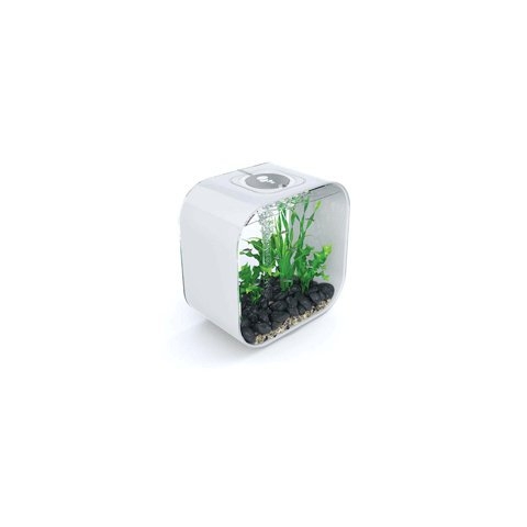 OASE biOrb LIFE 30, Quadrat 30l, weiß