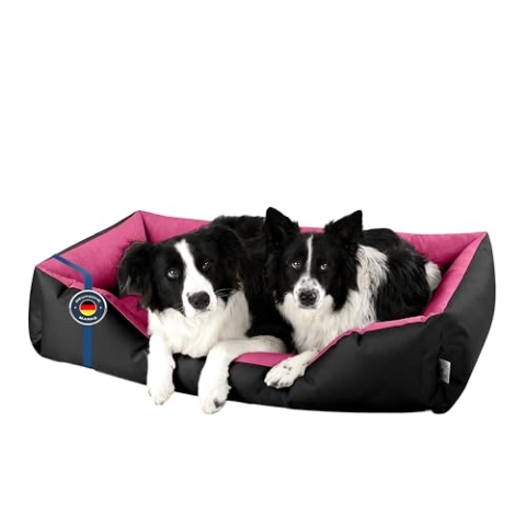 BedDog Hundebett XXL - Hundekissen - Hundekorb - Hundecouch - Hundesofa - Bezug abziehbar, Waschbar, für Mittel-Große Hunde