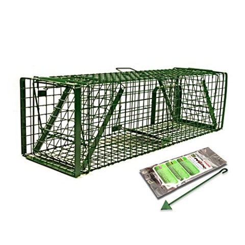 Holtaz Fallen Hardy Grün 120x34x34 cm 2 Türen Marderfalle Katzenfalle Fuchsfalle Biberfalle Tierfalle Kastenfalle Drahtfalle Waschbärfalle Mit Extra Köder