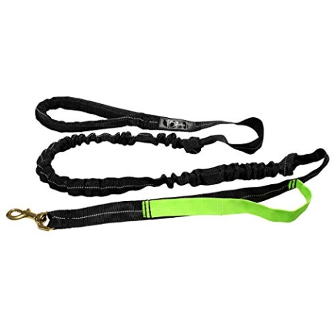 Axaeco 4 Season Jogging Leash | AXJL | Zugleine für Dogtrekking oder Ski-Jöhring