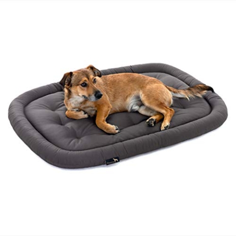 Pointer | Orthopädisches Hundekissen Mittelgroße Hunde, 90x60 cm - Hundebett Waschbar bis 95°C, Geruchsfrei, Robust, Indoor & Outdoor, Made in Germany (L - 90x60 cm, Anthrazit)