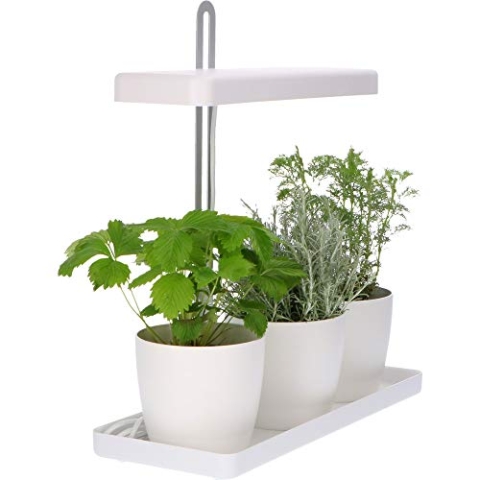 Design Kräutergarten mit höhenverstellbarem Pflanzenlicht 20W als Anzuchtschale oder Kräuterbeet