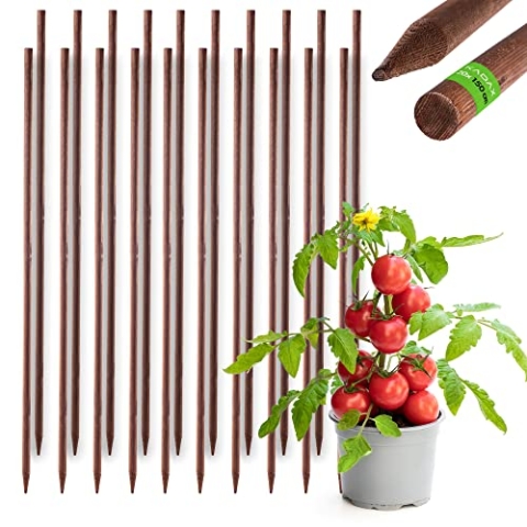 KADAX Rankhilfe aus Holz, imprägnierte Pflanzstäbe, Kletterpflanzen-Stab, wetterfeste Rankstange, Blumenstab, Rankgitter, Holzpflöcke, Pfähle (20, 28mm x 150cm)