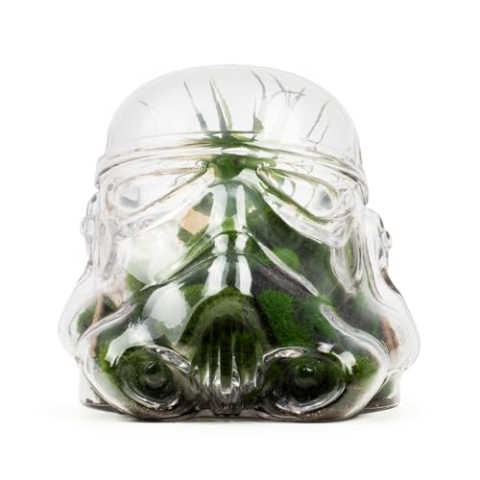 Terrario in vetro Con Casco Stormtrooper Originale e serbatoio per Biscotti Con coperchio, contenitore per la cucina e organizzazione - ThumbsUp!