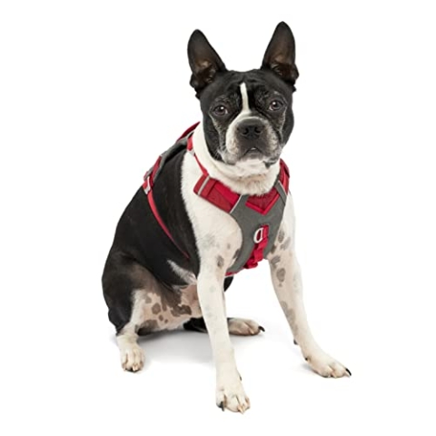 Kurgo Journey Air Hundegeschirr, Mit gepolstertem Brustteil und Rückgriff, Für Hunde von 2-5 kg, Größe XS, Rot/Grau