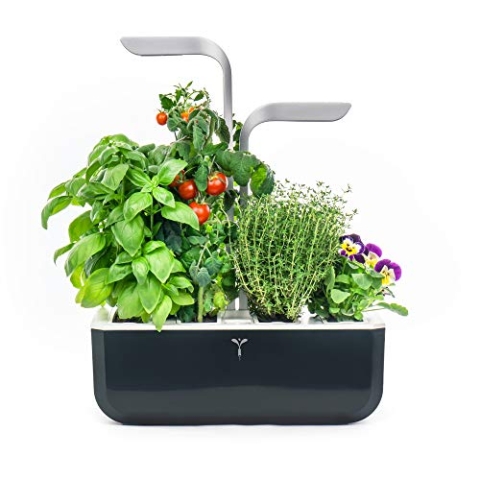 Véritable® SMART (Soft Black) - Indoor-Garten Made in France - Intelligenter autonomer Garten mit Adapt-Light-Technologie - Mit 4 Lingots®