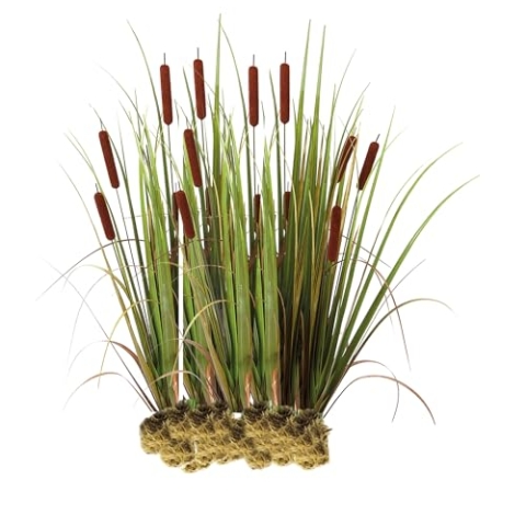 vdvelde.com - Grote Lisdodde - 15 stuks - Losse Pluggen - Typha Latifolia Rietsigaar - • 15 waterplanten voor 1 m² • Volgroeide hoogte: 120 cm • Plaatsing: -1 tot -20 cm