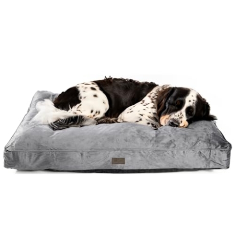 bo&flash Design Hundekissen Madison Dark Grey M – Formstabiles & Komfortables Hundebett – Hundematte mit waschbarem Bezug – Dog Bed rutschfest & stylisch – Hunde Kissen in Premium Qualität