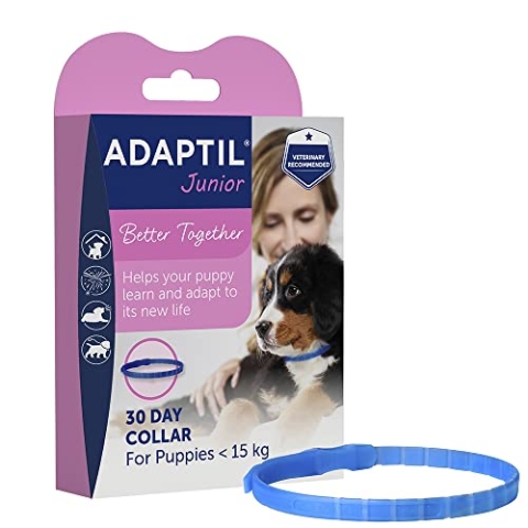 ADAPTIL Junior-Halsband für Welpen, verstellbar, nachweislich hilft, Nachtweinen, Komfort zu reduzieren, wenn Sie alleine zu Hause gelassen Werden, Training und Socilisation – Welpe