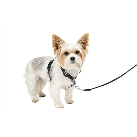 PetSafe 3-in-1 Geschirr, Hundegeschirr mit Rückhaltegurt, Reduziert Ziehen und Druck auf die Kehle, Größe S, Schwarz