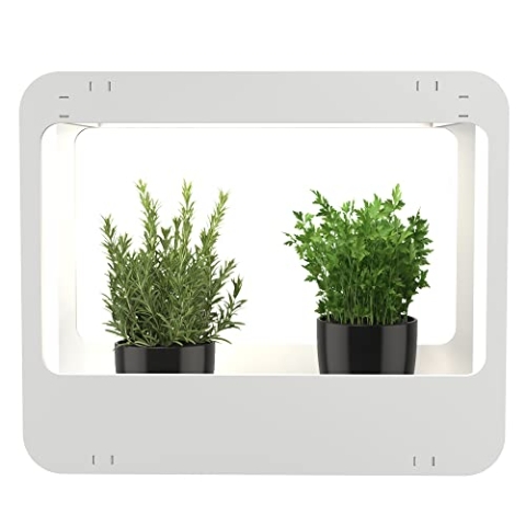 Romberg Homegarden mit LED-Beleuchtung | Zimmergewächshaus | Minigewächshaus | Weiß | 50.5 x 21 x 40 cm