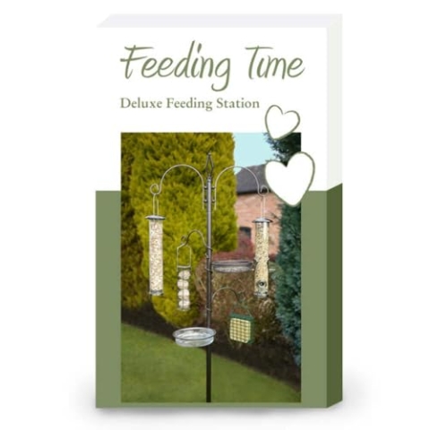 Feeding Time Deluxe Wild Bird Feeding Station