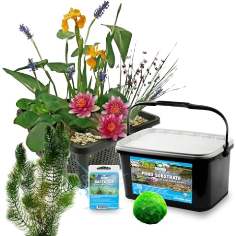 vdvelde.com - Mini Teichset Rot + Sauerstoffpflanzen gegen Algen - 11 pflanzen für 25-90 L - Schafft einen wartungsfreien Teich - Platzierung: -10 bis -20 cm