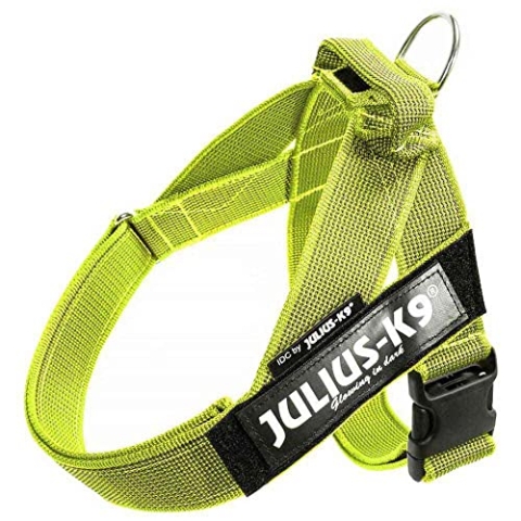 Julius-K9, Color & Gray, Beltgeschirr