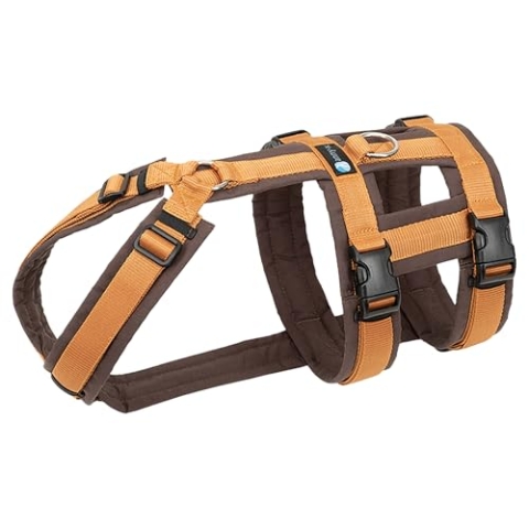 Annyx Brustgeschirr Safety Fun - Bernstein XS
