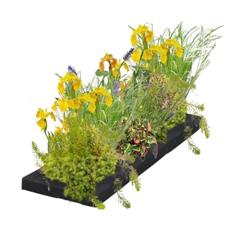 vdvelde.com - Schwimmpflanzenfilter - S - 75 cm - Wasserpflanzen - 12 Pflanzen - Platzierung: -10 bis -20 cm
