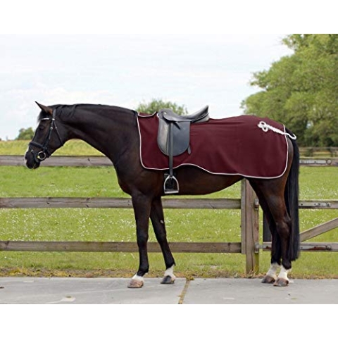 QHP Nierendecke Fleece-Ausreitdecke Ornament Fleecedecke Sattelausschnitt hinten mit Ornament in Silber ((M, Bordeaux)