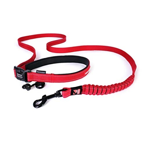 EzyDog Jogging Hundeleine für Mittelgroße und Große Hunde - Joggingleine Road Runner 210cm - Leine zum Joggen mit Hund, Reflektierende, Elastische mit Bungee Ruckdämpfer (25mm, Rot)