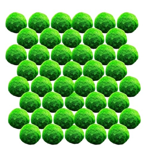 vdvelde.com - Marimo Mooskugeln - 50 Stück - Cladophora Aegagropila - Sauerstoffpflanze - Durchmesser ca. 5 cm - Platzierung: lose im Wasser