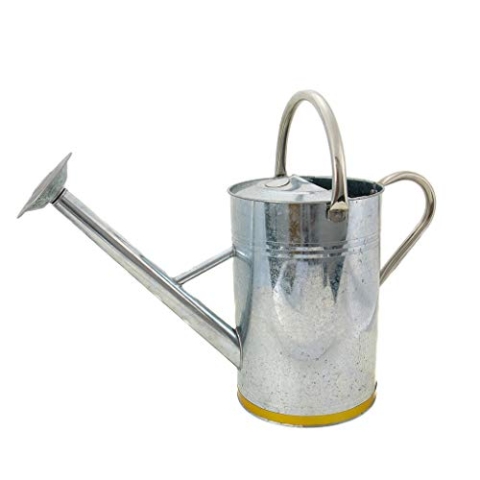 Gardman Deko-Gießkanne, 9 L, Kupfer und silber
