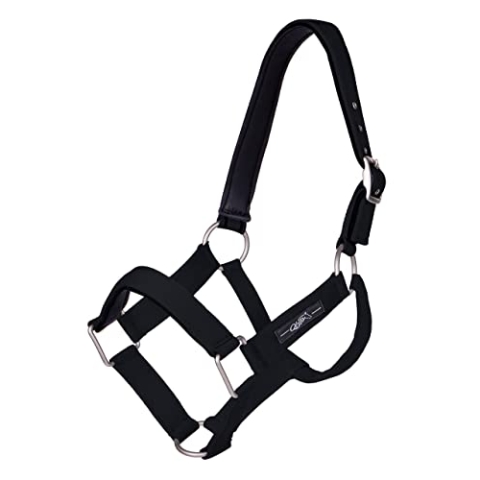 QHP Halfter Extra stark (Warmblut, Schwarz)