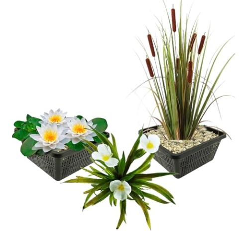 vdvelde.com - Inheemse Waterplanten - 11 stuks - Witte Waterlelie, Krabbescheer, Lisdodde - • Combi set• 11 planten• Plaatsing: -1 tot -40 cm