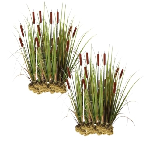 vdvelde.com - Typha Latifolia - Große Stranddistel - Für ca. 2,5 m² - 30 lose Filterpflanzen - Für Teichpflanzenfilter - Winterharte Teichpflanzen - Van der Velde Wasserpflanzen