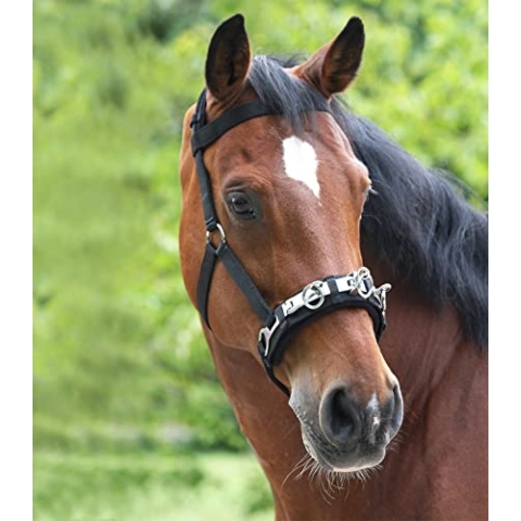 WALDHAUSEN Kappzaum, Nylon, Schwarz, Pferd, Kavesson, PET_APPAREL, Reiten, Nylon