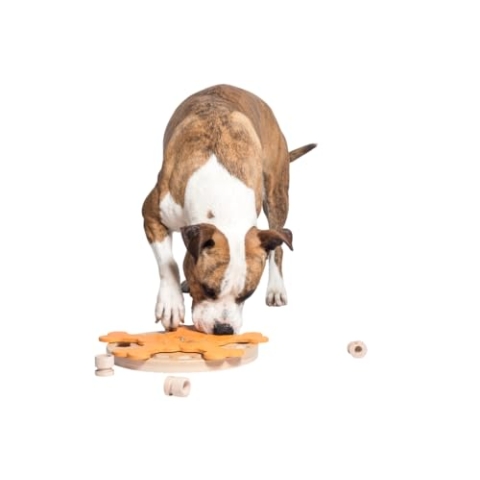 My Intelligent Dogs Carousel of Bones Interaktives Hundespielzeug aus Holz Intelligentes Spielzeug für Hunde