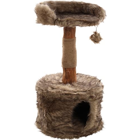 KRATZBAUM Betula 1 45x45x81CM