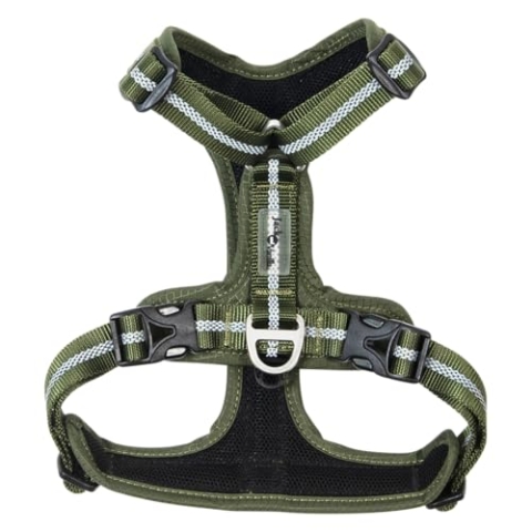 JACK AND VANILLA, Ergonomischer Gurt für Outdoor-Abenteuer, gepolsterte Schultergurte, einfache Einstellung, verstärkte Sicherheit, modernes Design, olivgrüne Farbe, Größe L, Expeditionsmodell