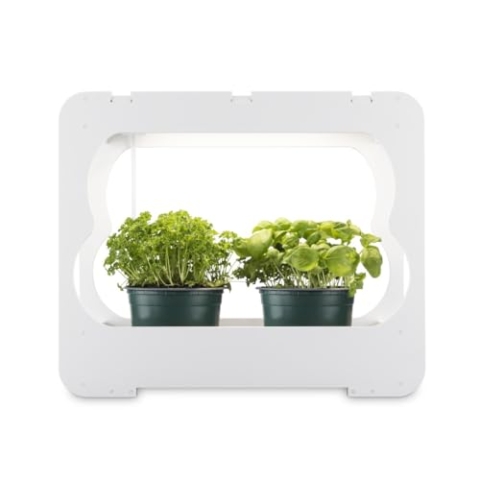 Xavax LED Smart Garden Home Gewächshaus Box klein mit Lampe für Balkon, als Anzuchtkasten für Hochbeet oder Outdoor Garten Pflanzen, Mini Gewächshaus mit Wachstumslampen für Pflanzen 3 Töpfe Ø 10 cm