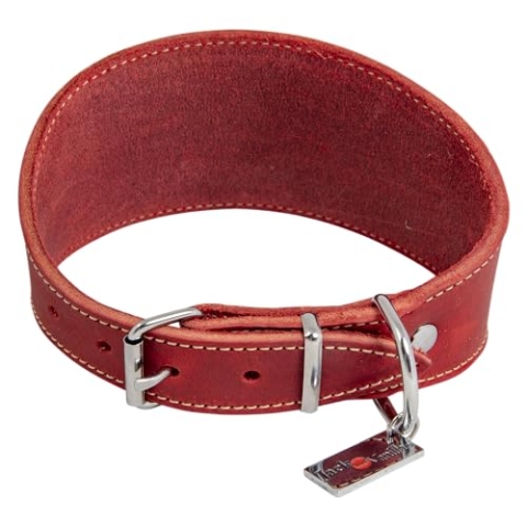 JACK AND VANILLA, Windhundhalsband für Hunde, Modell für fettige Haut, rote Farbe, Größe 37 cm