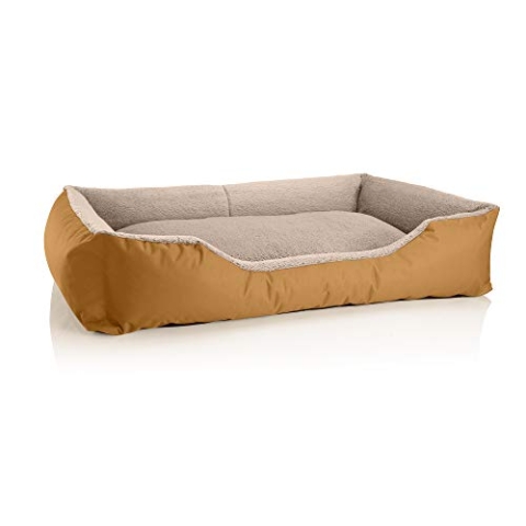BedDog Hundebett Teddy, Hundesofa aus Cordura und Microfaser-Velours, waschbares Hundebett mit Rand, Hundekissen Vier-eckig, für drinnen, draußen, Größe XXL, Gold-beige