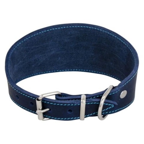 JACK AND VANILLA, Halskette für Windhunde aus fettigem Leder, perfekte Passform, langlebig und stilvoll, leuchtende Blaue Farbe, ideal zum Spazierengehen, Größe 42 cm, Ledermuster