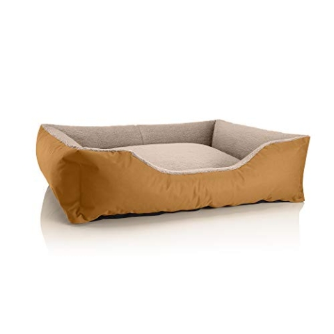 BedDog Hundebett Teddy, Hundesofa aus Cordura und Microfaser-Velours, waschbares Hundebett mit Rand, Hundekissen Vier-eckig, für drinnen, draußen, Größe XL, Gold-beige