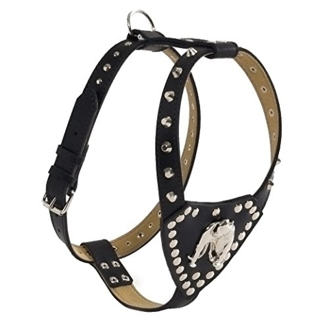 Beeztees 735166 Bullterriergeschirr Moloss, 80-95cm, schwarz